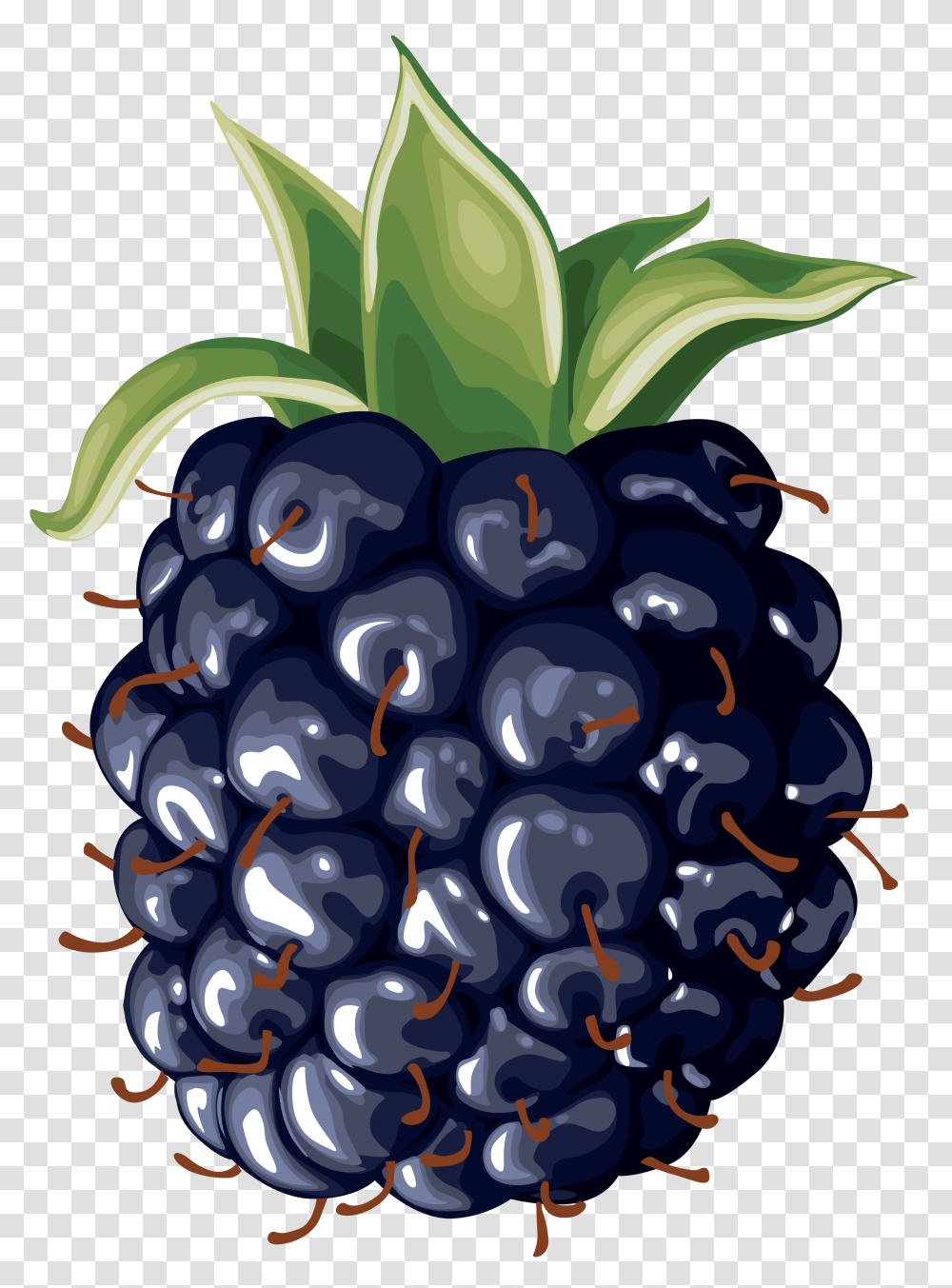 Orig Owoce Vector, Plant, Fruit, Food, Blueberry Transparent Png