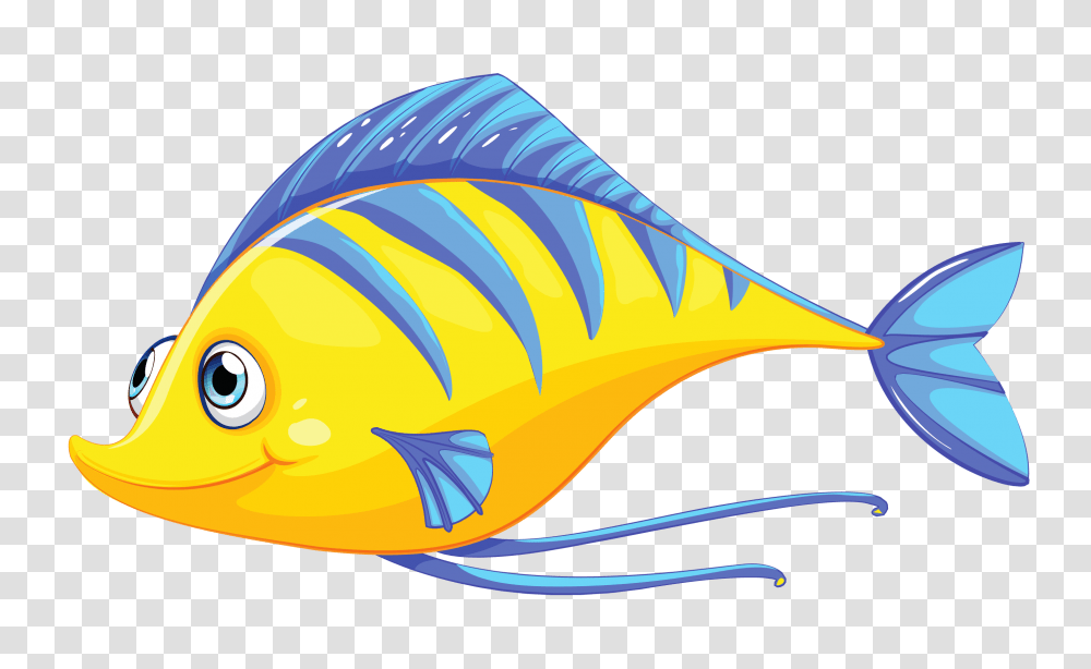 Orig Sea Life, Animal, Fish, Rock Beauty, Angelfish Transparent Png