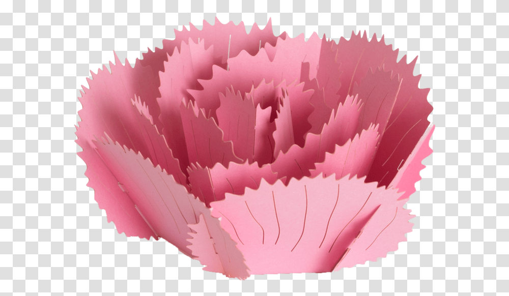 Origami, Plant, Carnation, Flower, Blossom Transparent Png