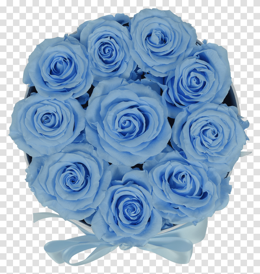 Original Baby Blue Roses Blue Rose, Plant, Flower Bouquet, Flower Arrangement, Blossom Transparent Png