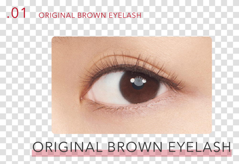 Original Brown Eyelash Eye Shadow, Contact Lens, Skin, Person, Human Transparent Png