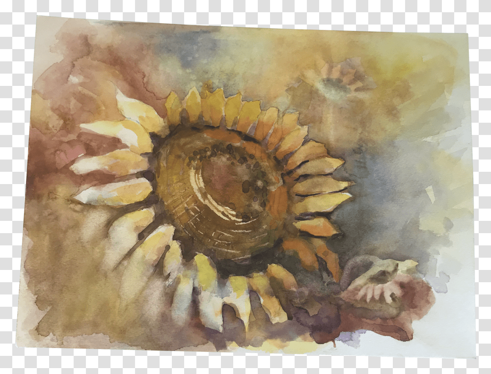 Original Unframed Sunflower Watercolor Study Painting Watercolor Paint Transparent Png