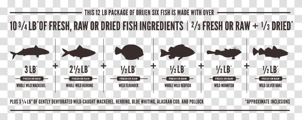 Orijen Six Fish Meatmath Formula And Cat Food Ingredients Orijen Six Fish Ingredients, Animal, Sea Life Transparent Png