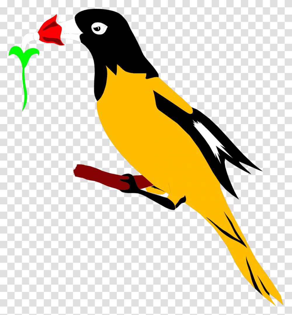 Oriole Clipart At Getdrawings Vogel Clipart, Animal, Beak, Bird, Finch Transparent Png