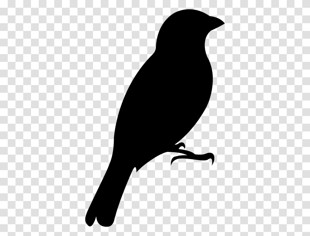 Oriole Publishing For Wind Quintet Woodwood Quintet Perching Bird, Gray, World Of Warcraft Transparent Png