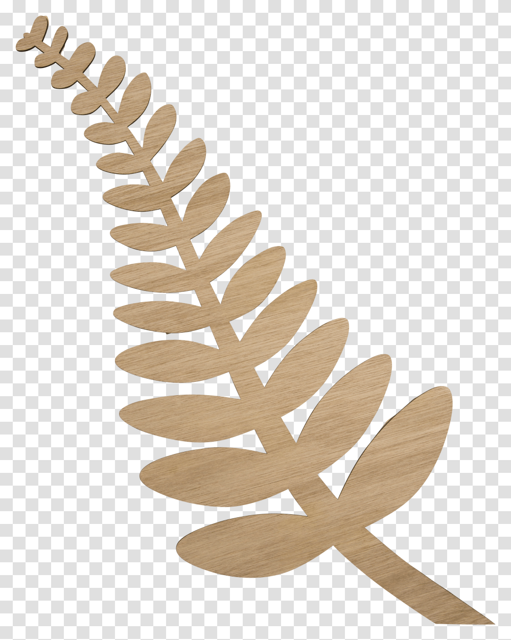Orn Si Fn Oo Fern Transparent Png