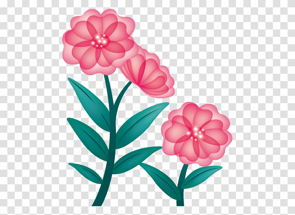 Ornamental Flower, Plant, Blossom, Dahlia, Petal Transparent Png