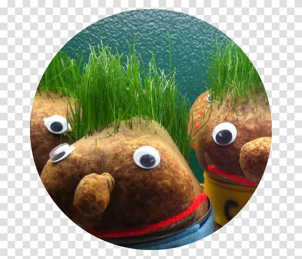 Ornamental Grass, Toy, Water, Animal, Sea Life Transparent Png
