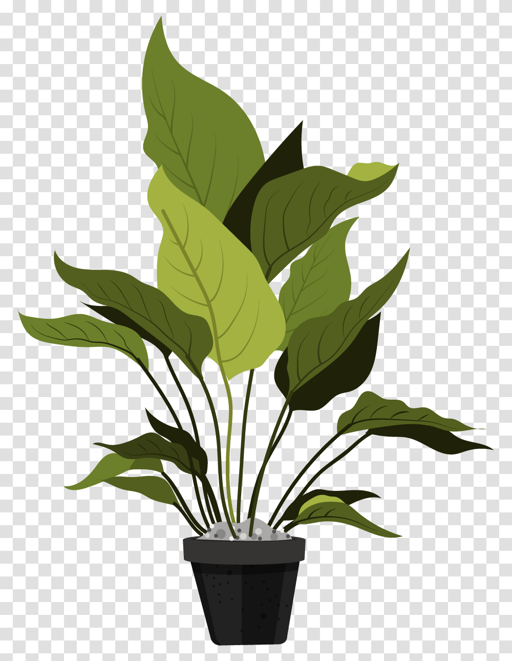 Ornamental Plants Leaves, Leaf, Green, Bamboo Transparent Png