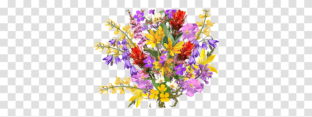 Ornate Floral Border Floral, Plant, Flower, Flower Bouquet, Flower Arrangement Transparent Png
