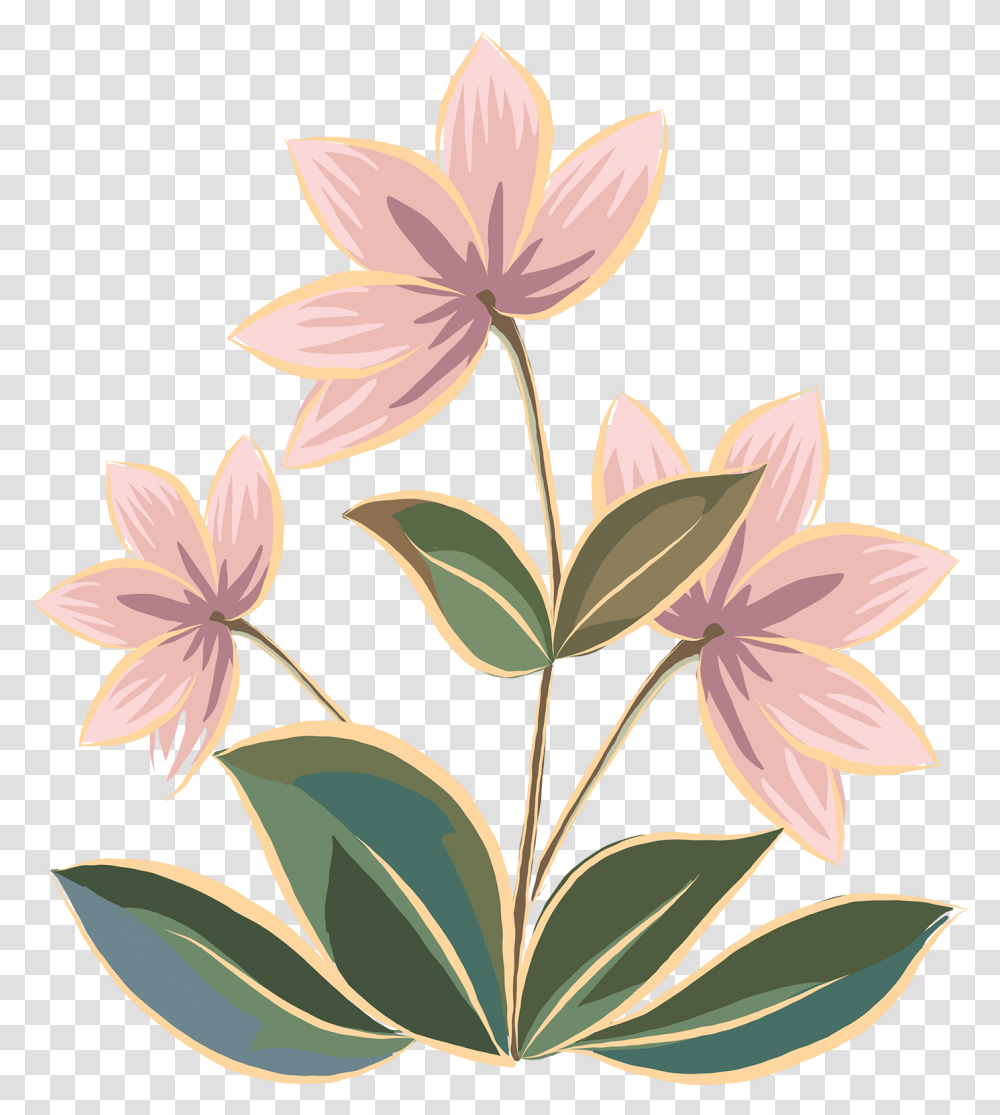 Ornate Floral Border Gentians, Plant, Flower, Blossom, Lily Transparent Png