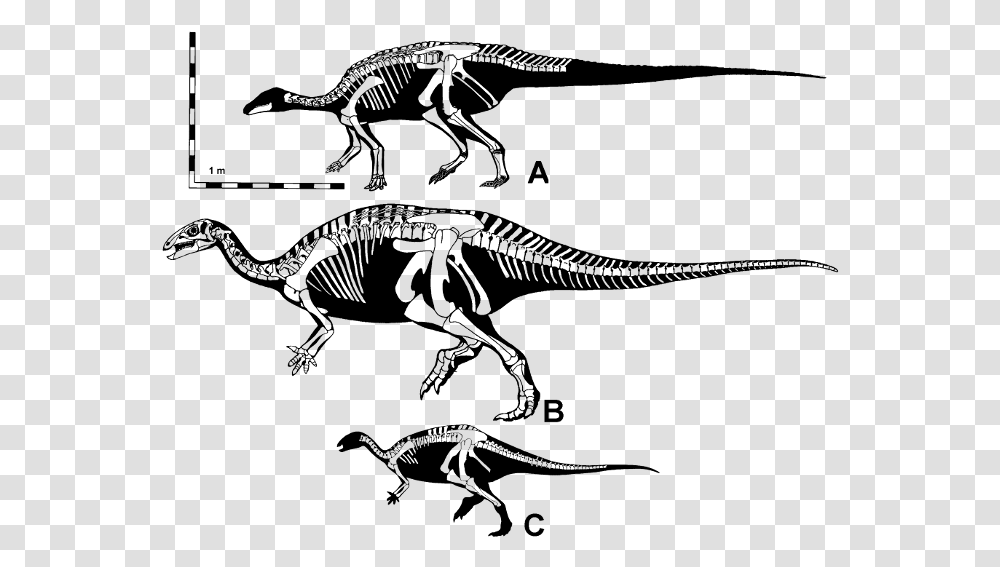 Ornithopods Of The Morrison Formation, Gray, World Of Warcraft Transparent Png