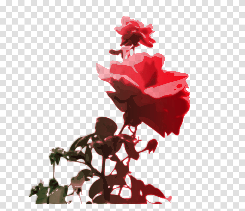 Orru Roses, Nature, Plant, Flower, Blossom Transparent Png