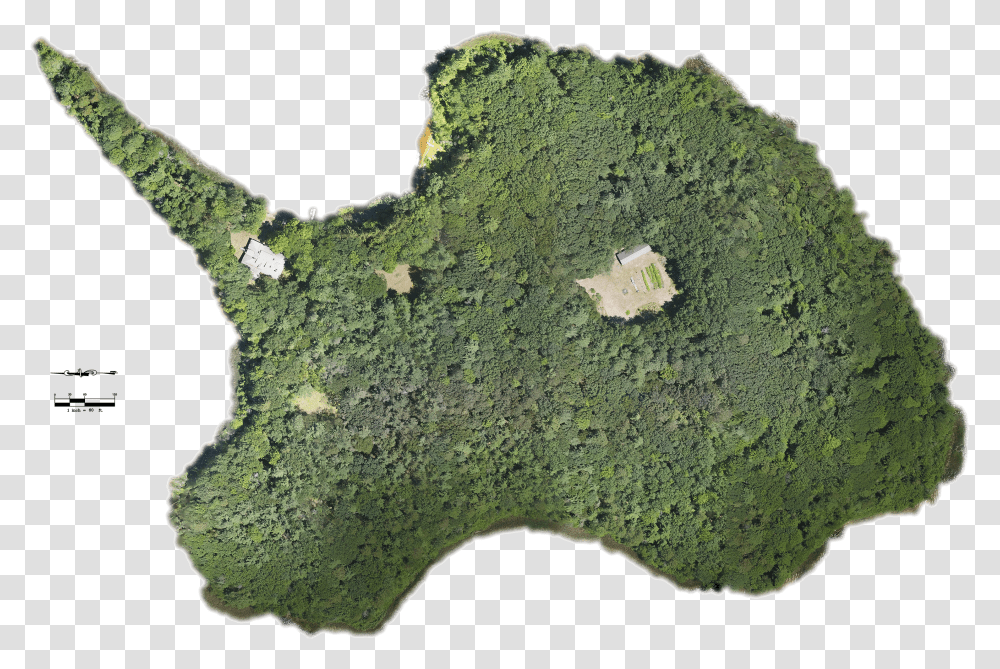 Orthomosaic Map Moss Transparent Png