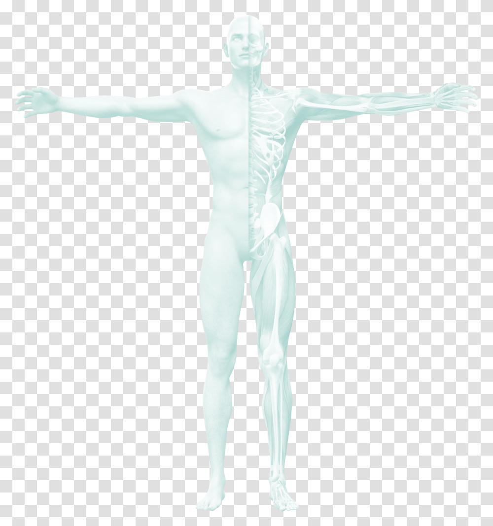 Orthopedic Conditions Male, Mannequin, Person, Human, Sculpture Transparent Png