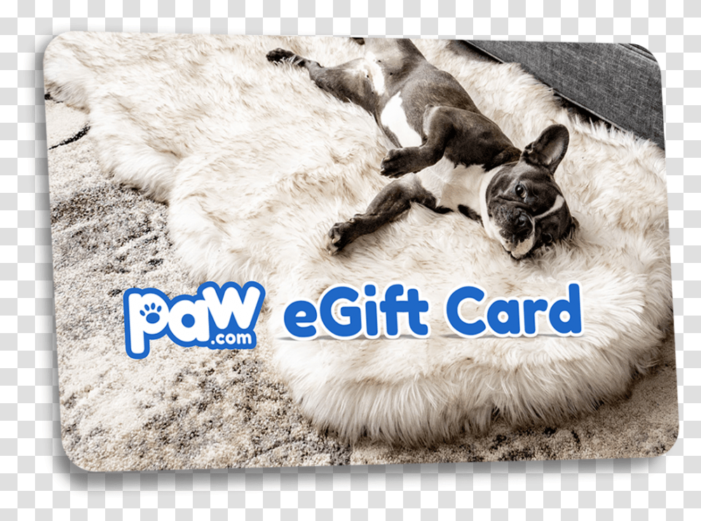 Orthopedic Dog Beds That Look Like A Rug Paw Brands - Pawcom Mat, Mammal, Animal, Pet, Canine Transparent Png