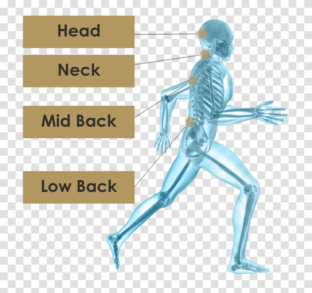 Orthopedic Image, Person, Human, Alien, Skeleton Transparent Png