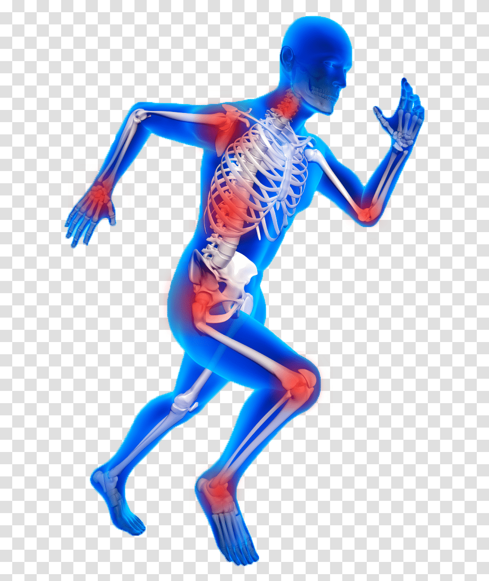 Orthopedic Images, Person, Human, Skeleton, Costume Transparent Png
