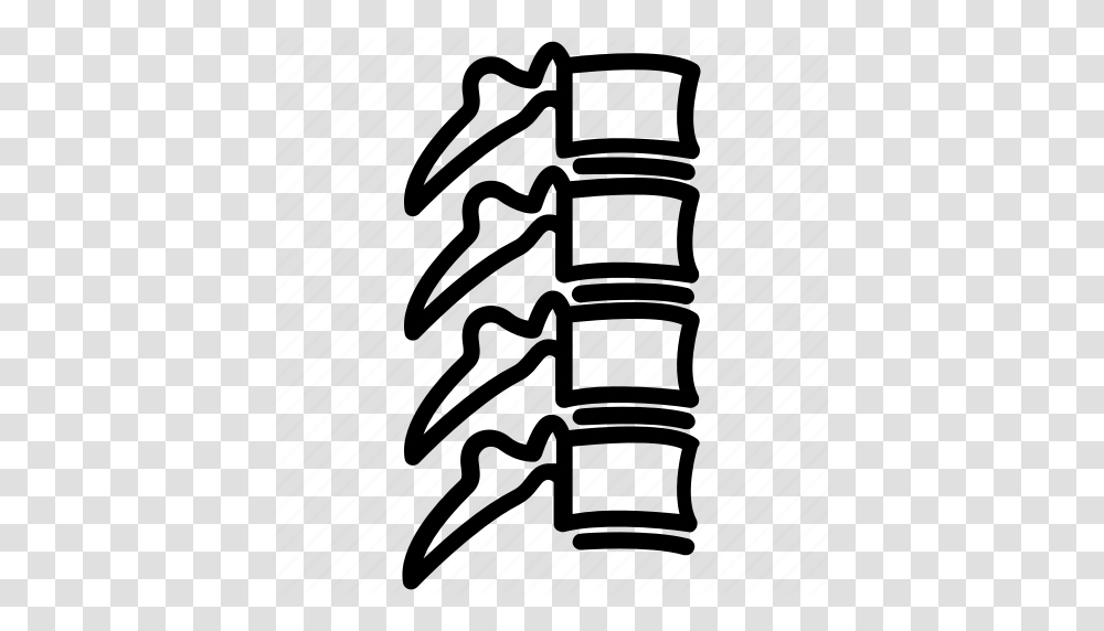 Orthopedic Spinal Cord Spine Spine Scan Spine Xray Icon, Piano, Leisure Activities, Musical Instrument, Indoors Transparent Png