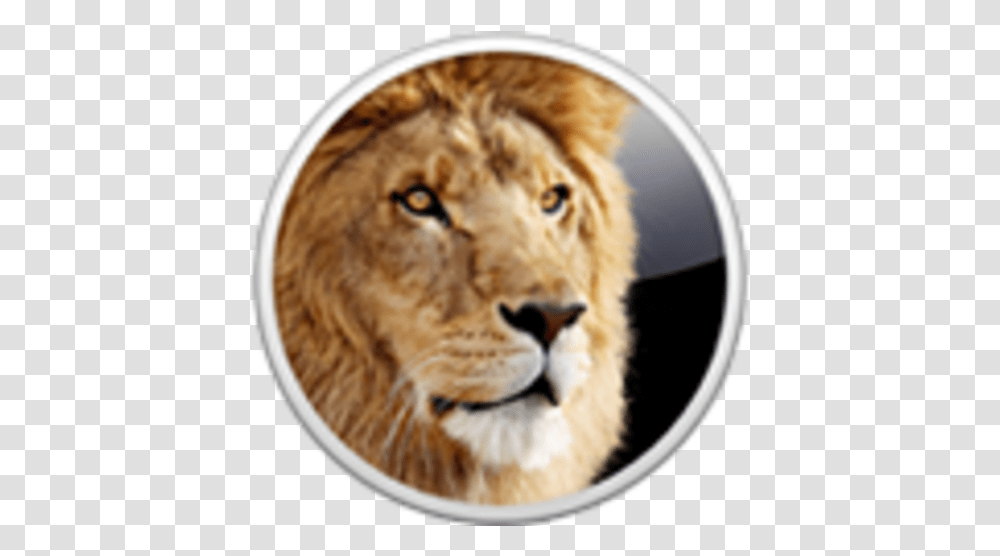 Os X Lion Mac Os X Lion Icon, Mammal, Animal, Wildlife, Panther Transparent Png