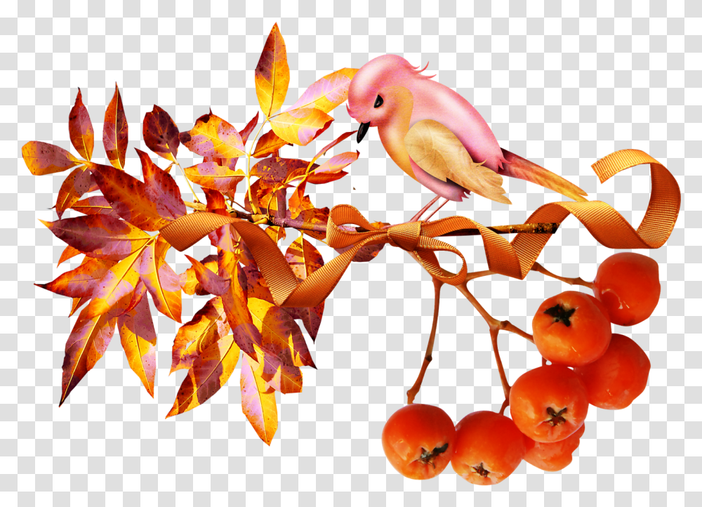 Osen Kartinki Na Prozrachnom Fone, Leaf, Plant, Animal, Bird Transparent Png