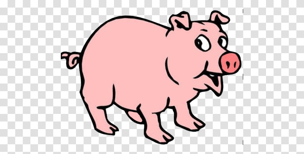 Osmm Pork, Piggy Bank, Mammal, Animal Transparent Png