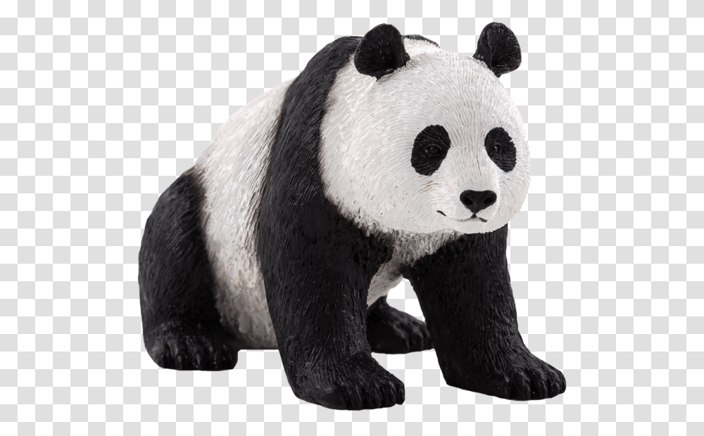 Oso Panda Stock Giant Panda Vector, Bear, Wildlife, Mammal, Animal Transparent Png