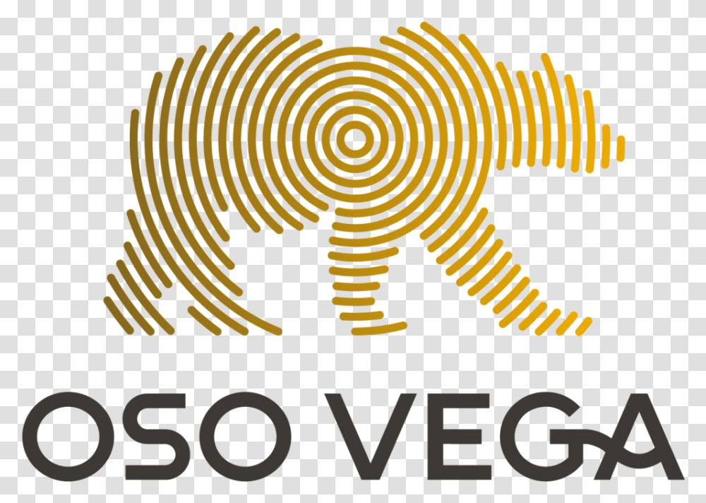 Oso Vega, Text, Pattern, Tiger, Mammal Transparent Png