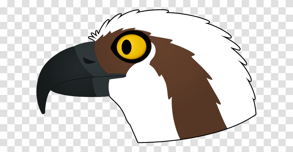 Osprey Logo Illustration, Beak, Bird, Animal, Vulture Transparent Png