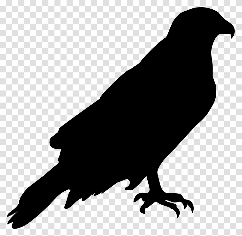 Osprey Silhouette, Gray, World Of Warcraft Transparent Png