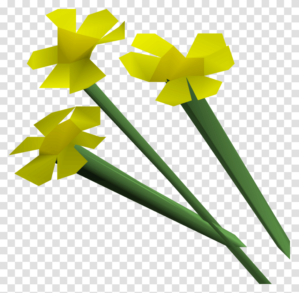 Osrs Flowers, Daffodil, Plant, Blossom Transparent Png