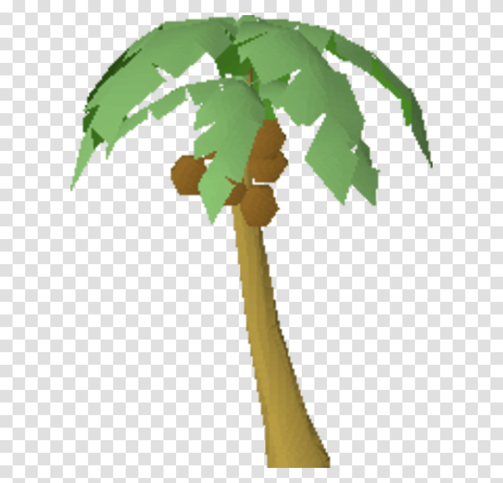 Osrs Palm Tree, Leaf, Plant, Jay, Bird Transparent Png