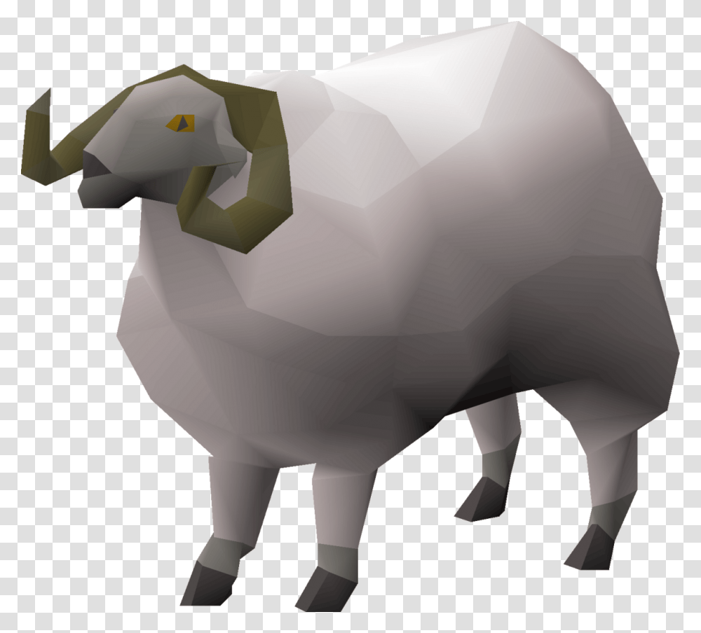 Osrs Ram, Animal, Mammal, Piggy Bank, Wildlife Transparent Png