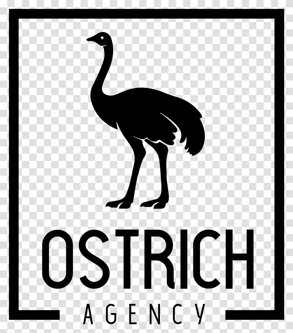 Ostrich Agency Flightless Bird, Gray, Logo, Trademark Transparent Png
