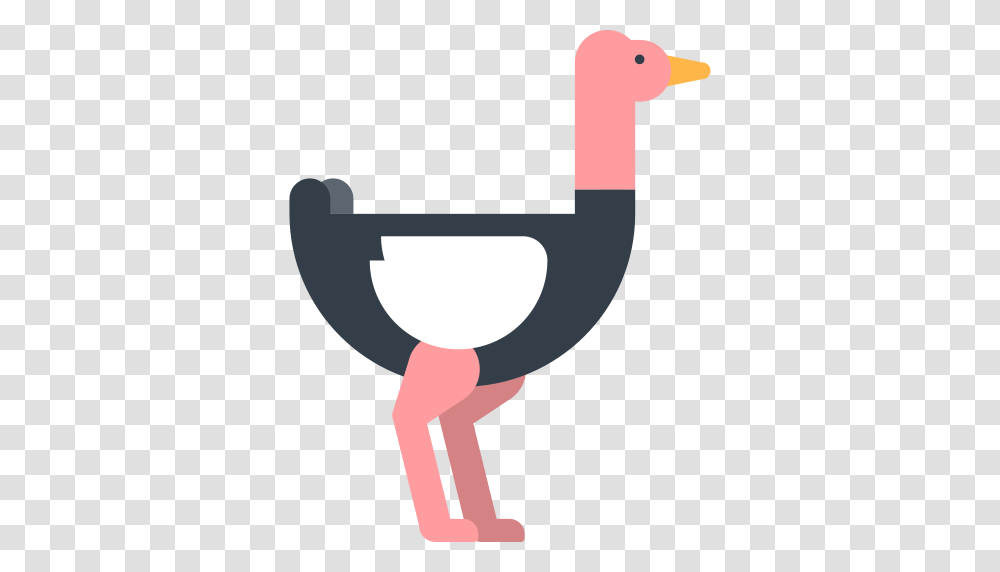Ostrich Animal Animals Icon And Vector For Free Download, Bird, Label, Outdoors Transparent Png