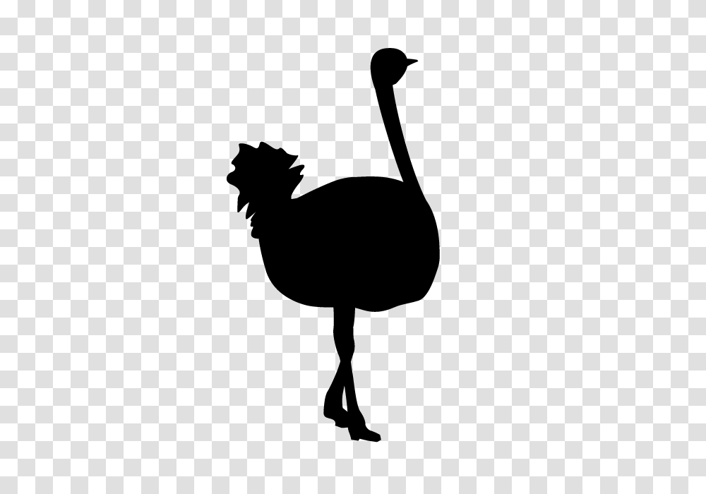 Ostrich Animal Silhouette Free Illustrations, Gray, World Of Warcraft Transparent Png