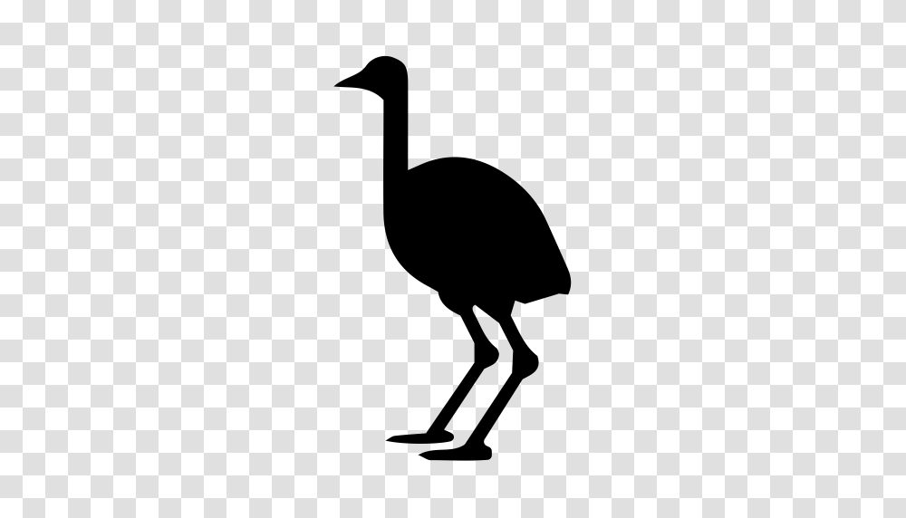 Ostrich Animals Bird Icon With And Vector Format For Free, Gray, World Of Warcraft Transparent Png