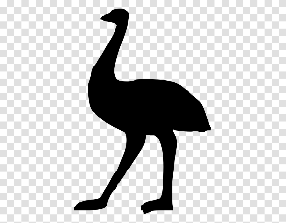 Ostrich, Animals, Gray, World Of Warcraft Transparent Png