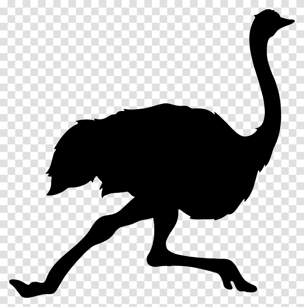 Ostrich, Animals, Gray, World Of Warcraft Transparent Png