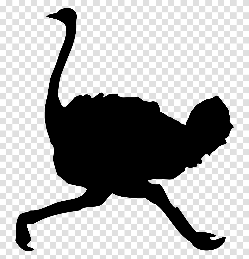 Ostrich, Animals, Silhouette, Bird, Stencil Transparent Png