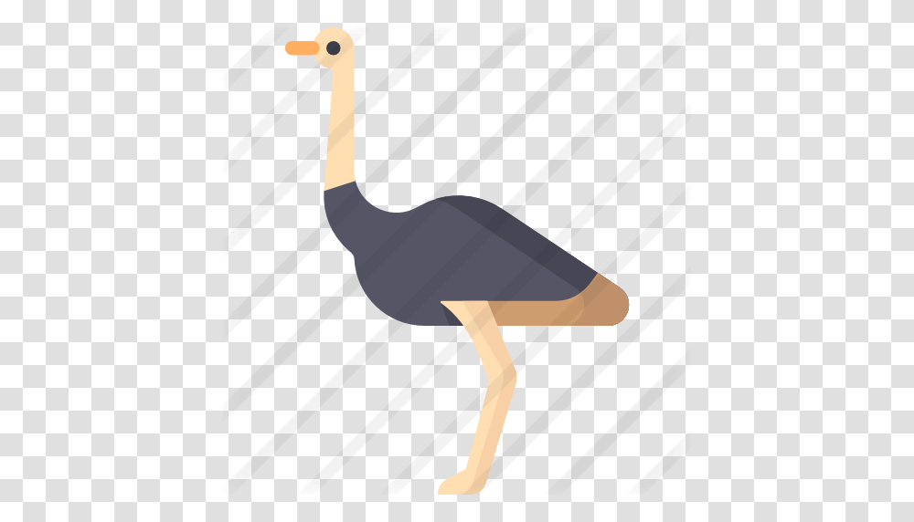 Ostrich, Axe, Tool, Bird, Animal Transparent Png