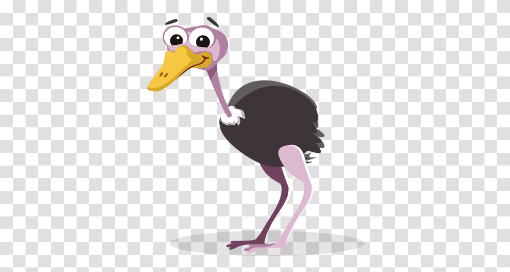 Ostrich, Bird, Animal, Beak, Albatross Transparent Png