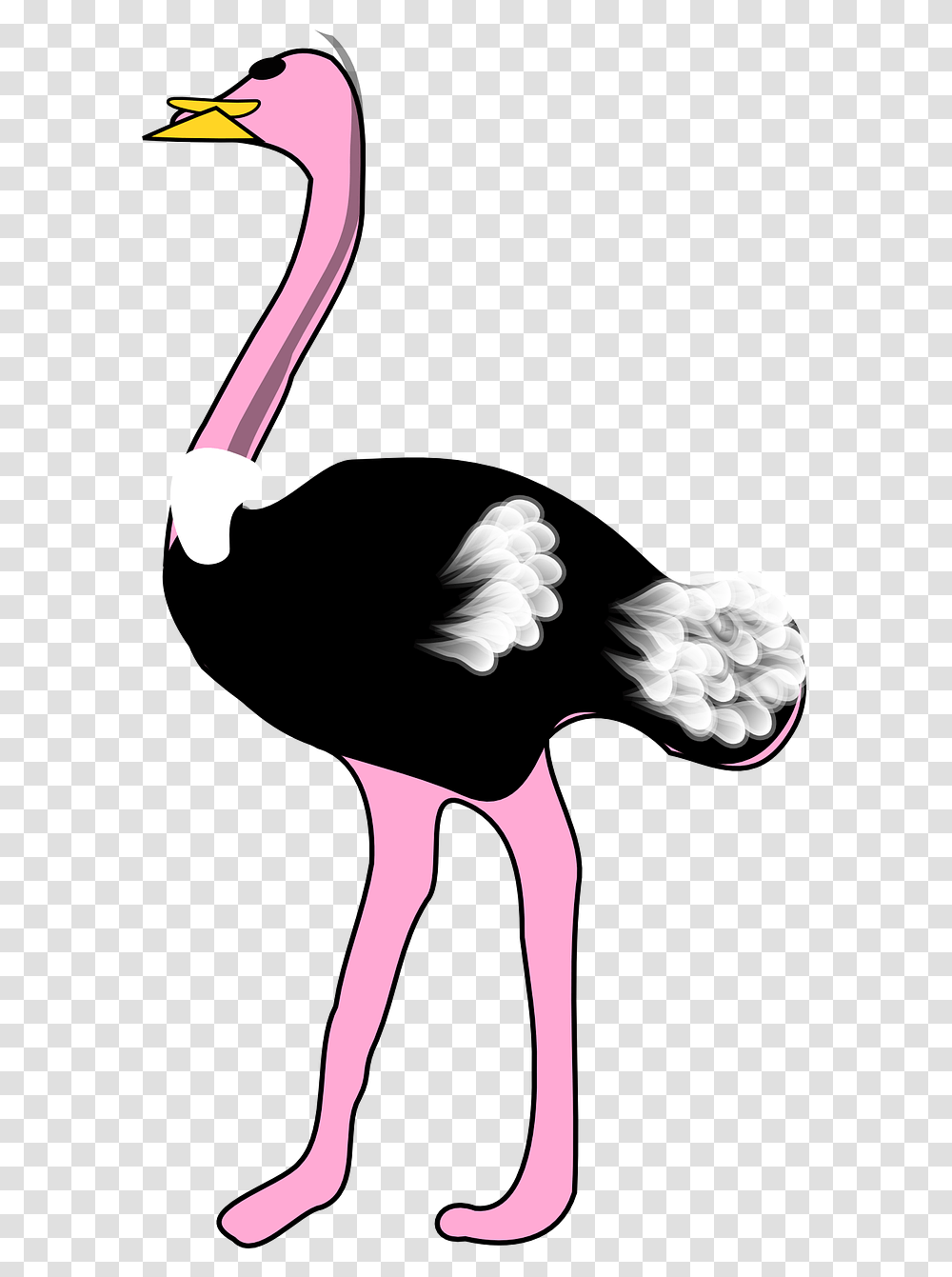 Ostrich Bird Animal Free Vector Graphic On Pixabay Ostrich Clipart Clker, Person, Plant, Leisure Activities, Flower Transparent Png