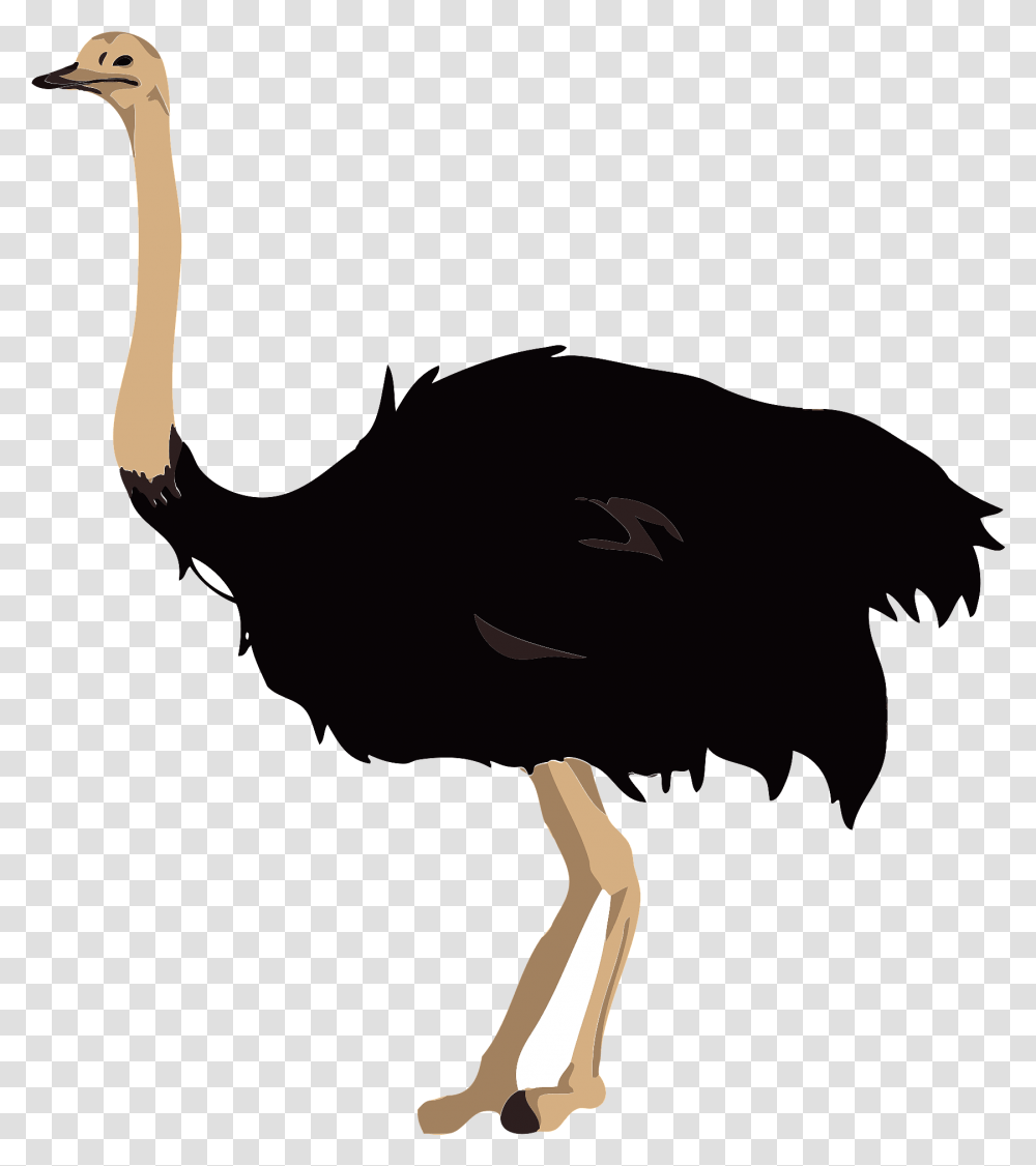 Ostrich Bird Clipart Free Download Creazilla Clipart Images Of Ostrich, Animal, Person, Human Transparent Png