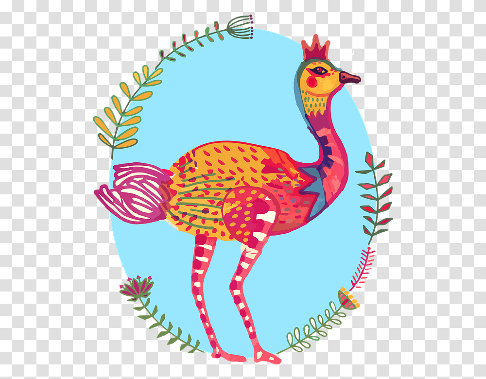 Ostrich Bird Colourful South Africa Cartoon, Animal, Apparel, Hat Transparent Png