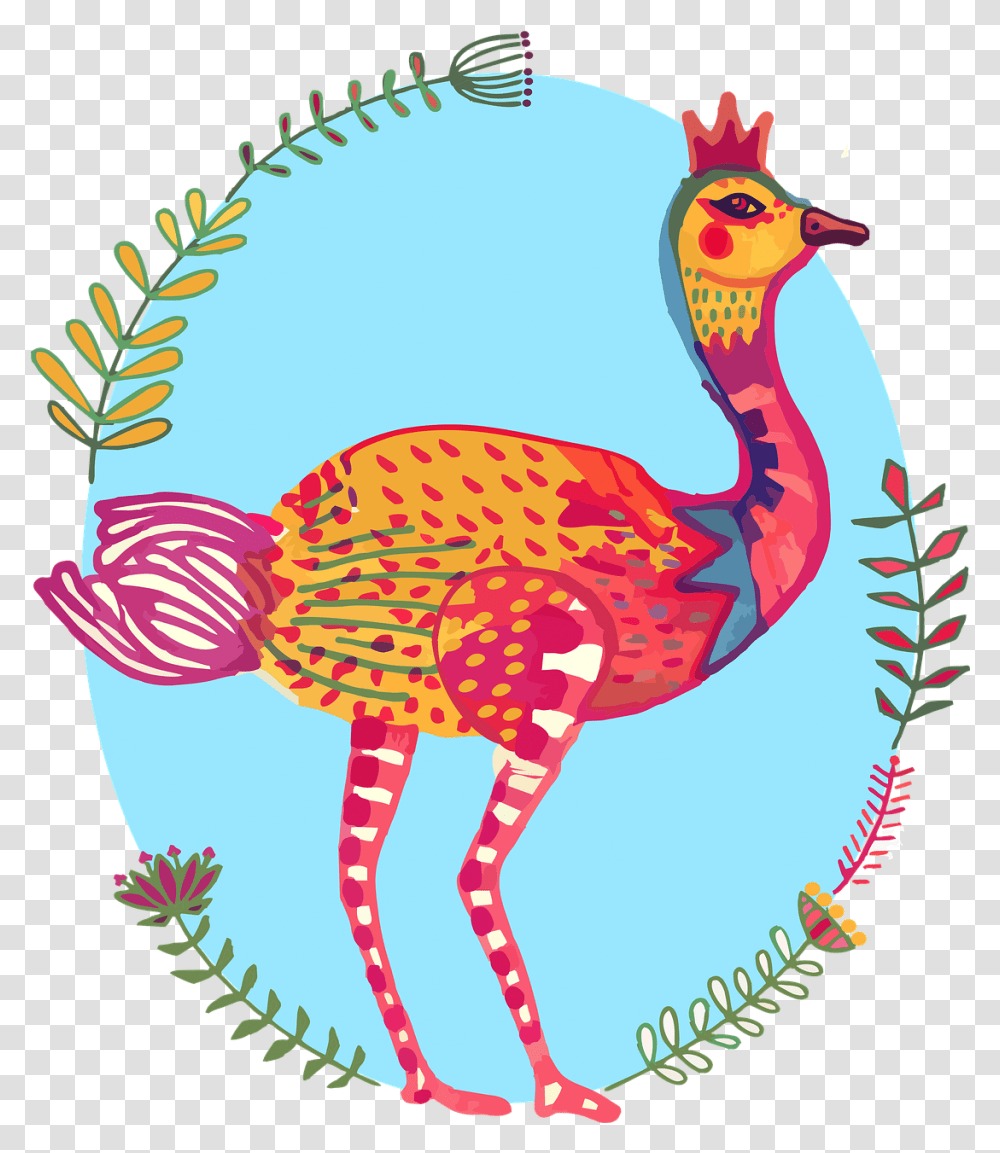 Ostrich Bird Colourful South Free Image On Pixabay Cartoon, Animal, Flamingo, Fowl, Dodo Transparent Png