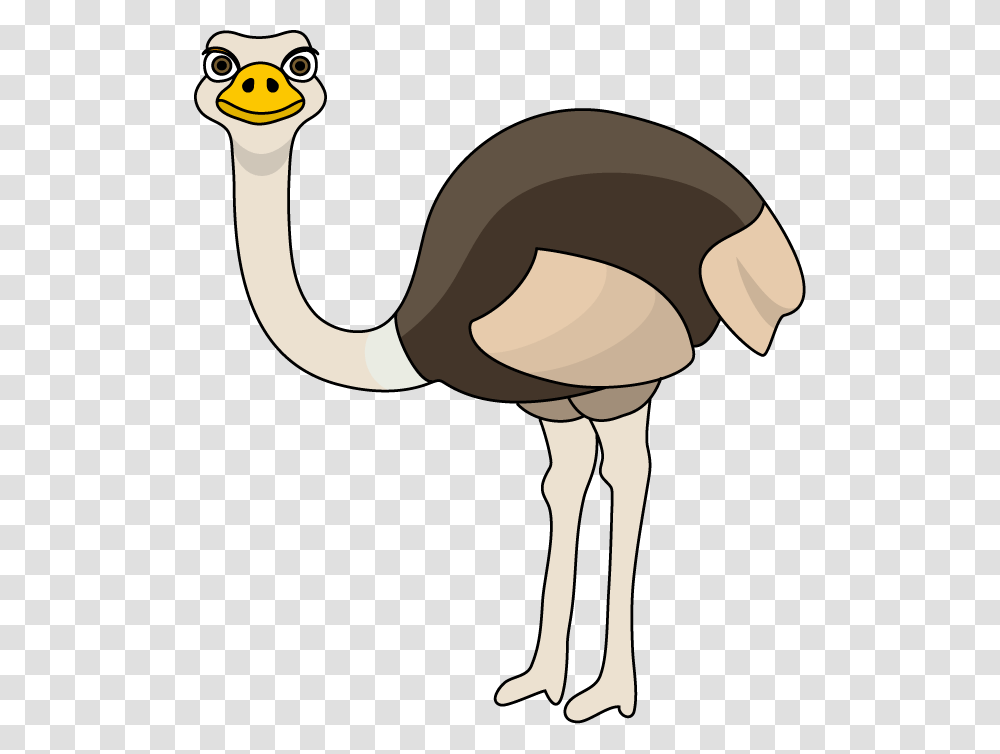 Ostrich Clip Art, Bird, Animal, Blow Dryer, Appliance Transparent Png