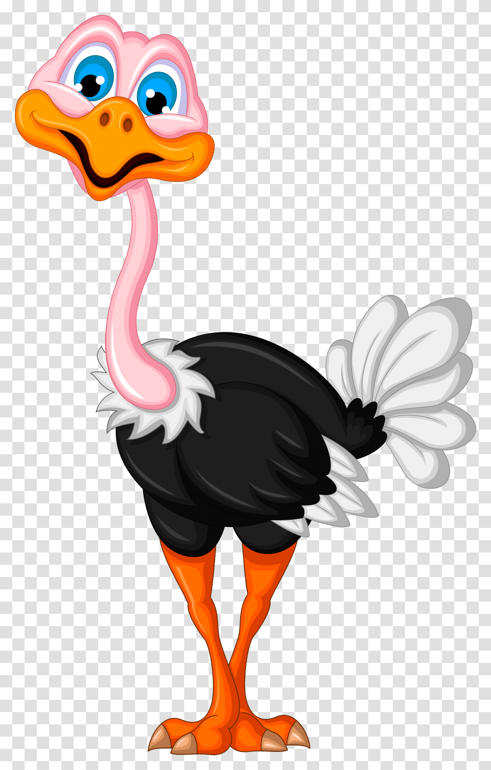 Ostrich Clipart, Bird, Animal Transparent Png