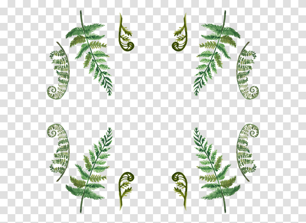 Ostrich Clipart Fern, Plant, Pattern, Leaf Transparent Png
