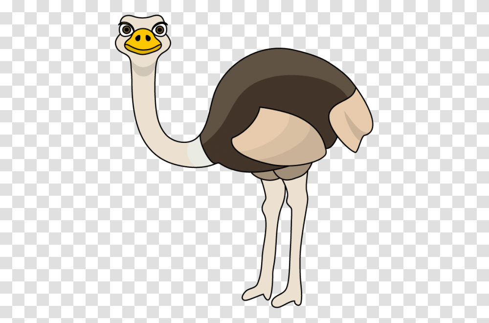 Ostrich Clipart Nice Clip Art, Animal, Bird, Flamingo Transparent Png
